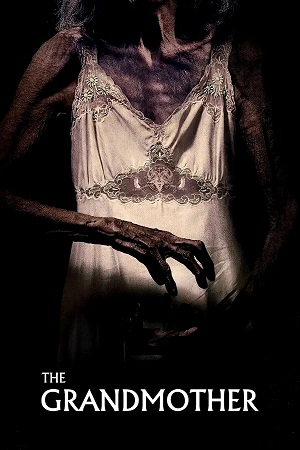 Download The Grandmother (2019) Dual Audio {Hindi-English} BluRay 480p [350MB] | 720p [950MB] | 1080p [2GB]